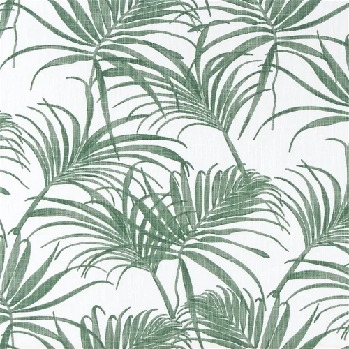 Palm