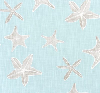 Sea Stars