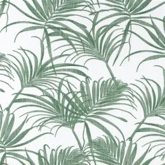 Palm