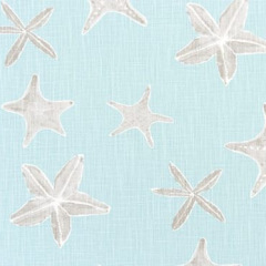 Sea Stars